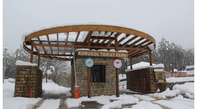 Korugöl Tabiat Parkı'nda Kar Manzarası: Doğanın Büyülü Beyaz Örtüsü