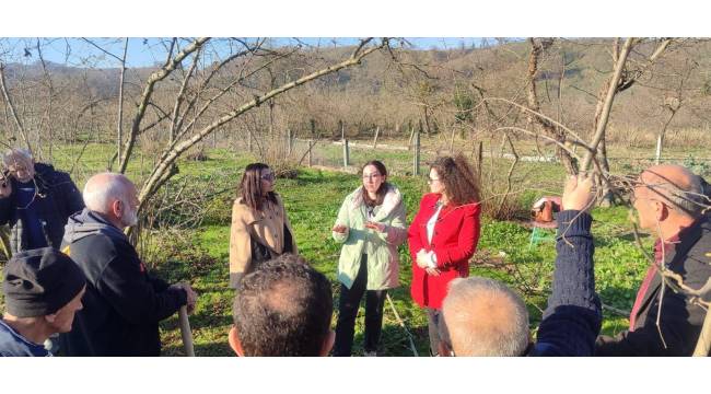 Akçakoca Ziraat Odası, Uğurlu Köyü'nde Fındık Budama Etkinliği Düzenlendi