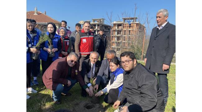 Akçakoca'da Aziz Şehitlerimiz İçin Fidan Dikimi Etkinliği Gerçekleştirildi